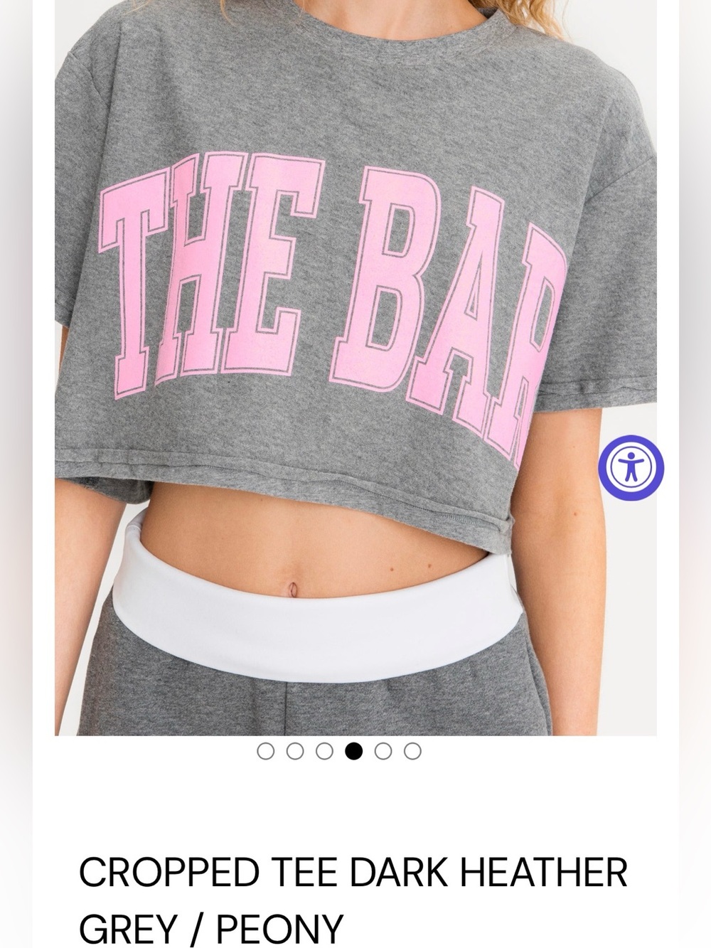 NWT The Bar Cropped Tee - Grey/Peony XS